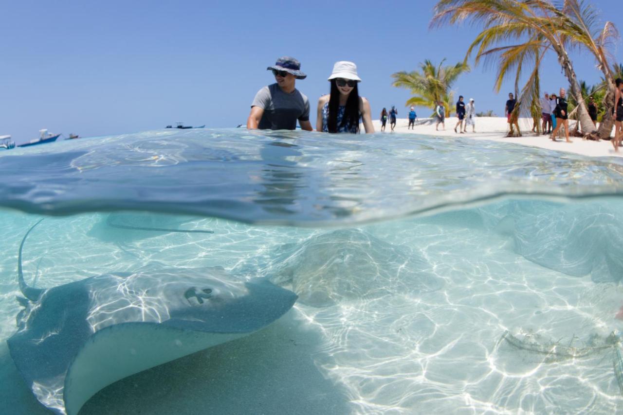 Crystal Sands Maafushi Exteriér fotografie